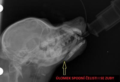 operace-60_Operace_zlomene_celisti.jpg